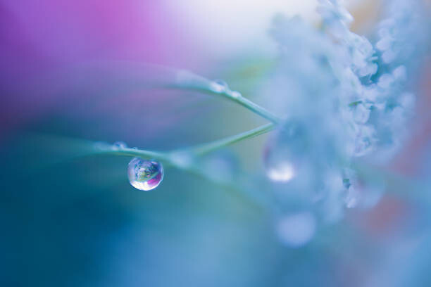 Αφίσα Water drop in blue