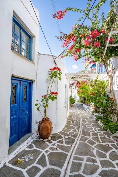 Αφίσα White Cycladic houses with blue door