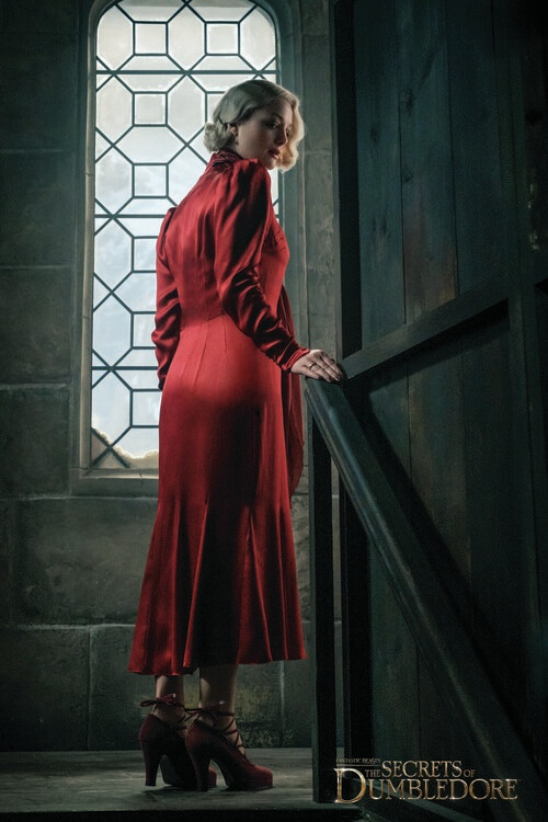 Αφίσα Φανταστικά ζώα και πού βρίσκονται - Dark Queenie