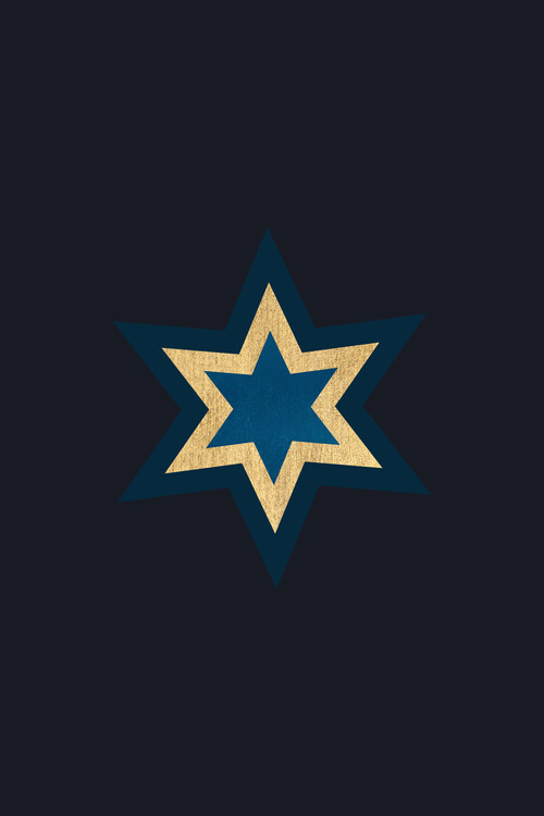 Εκτύπωση καμβά A Shooting Star At Night