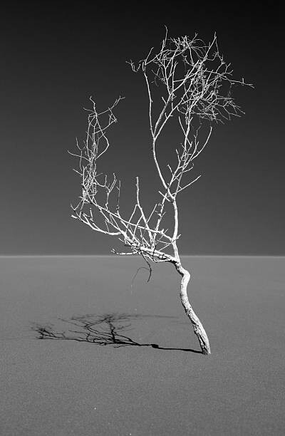 Εκτύπωση καμβά Art of nature, Sossuvlei, Namib desert