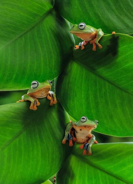 Плакат Three Brothers