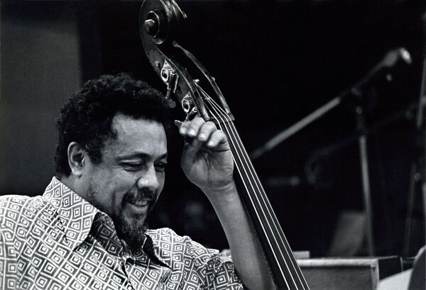 Картината върху платно Charlie Mingus, 1971