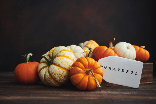 Картината върху платно Collection of miniature pumpkins in wooden crate with GRATEFUL message for Fall and Thanksgiving