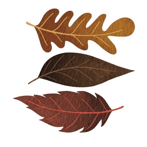 Картината върху платно Three brown fall leaves watercolor illustration