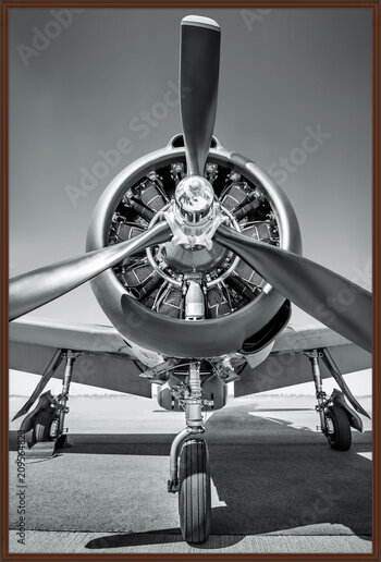 фотографія propeller of an sports plane