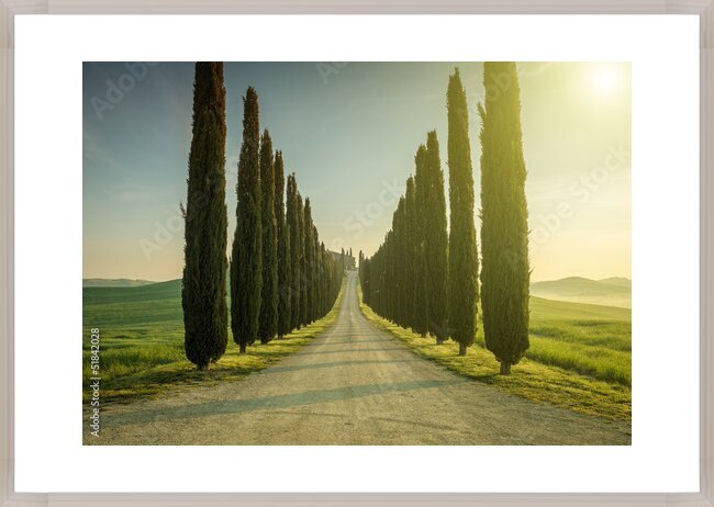 фотографія Tuscany, Landscape. Italy