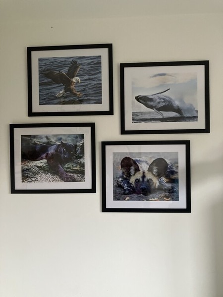 Customer Reviews & Experience Europosters.eu