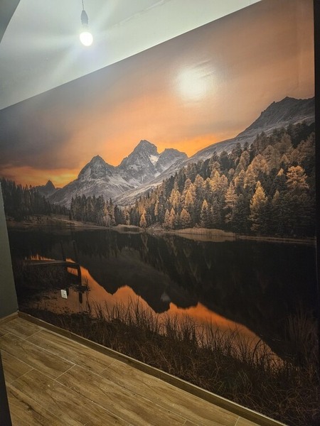 Customer Reviews & Experience Europosters.eu