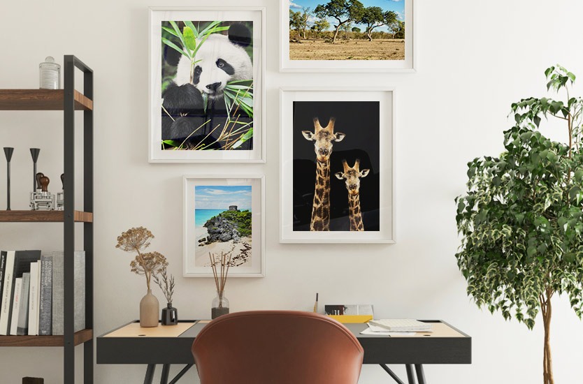 Arte Fotográfica Portrait of Giraffe and Baby Black Edition